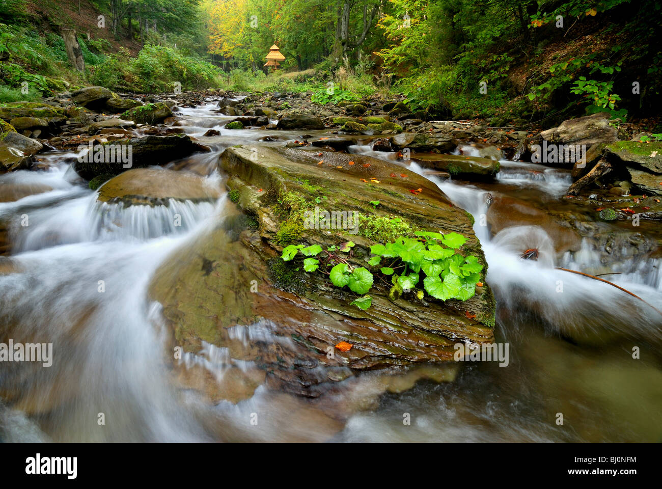 shipot waterfall in zakarpatie region of ukraine Stock Photo