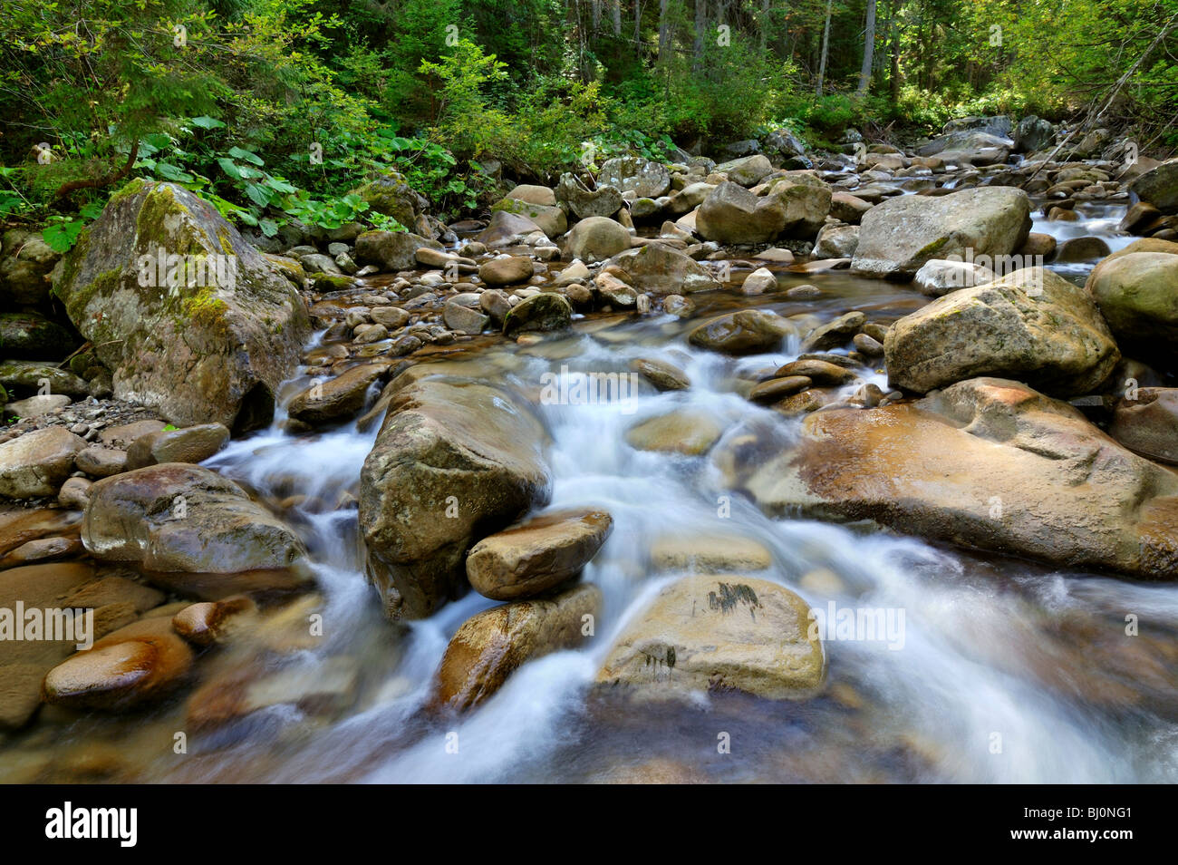 prut river in goverla mountain area of ukraine Stock Photo