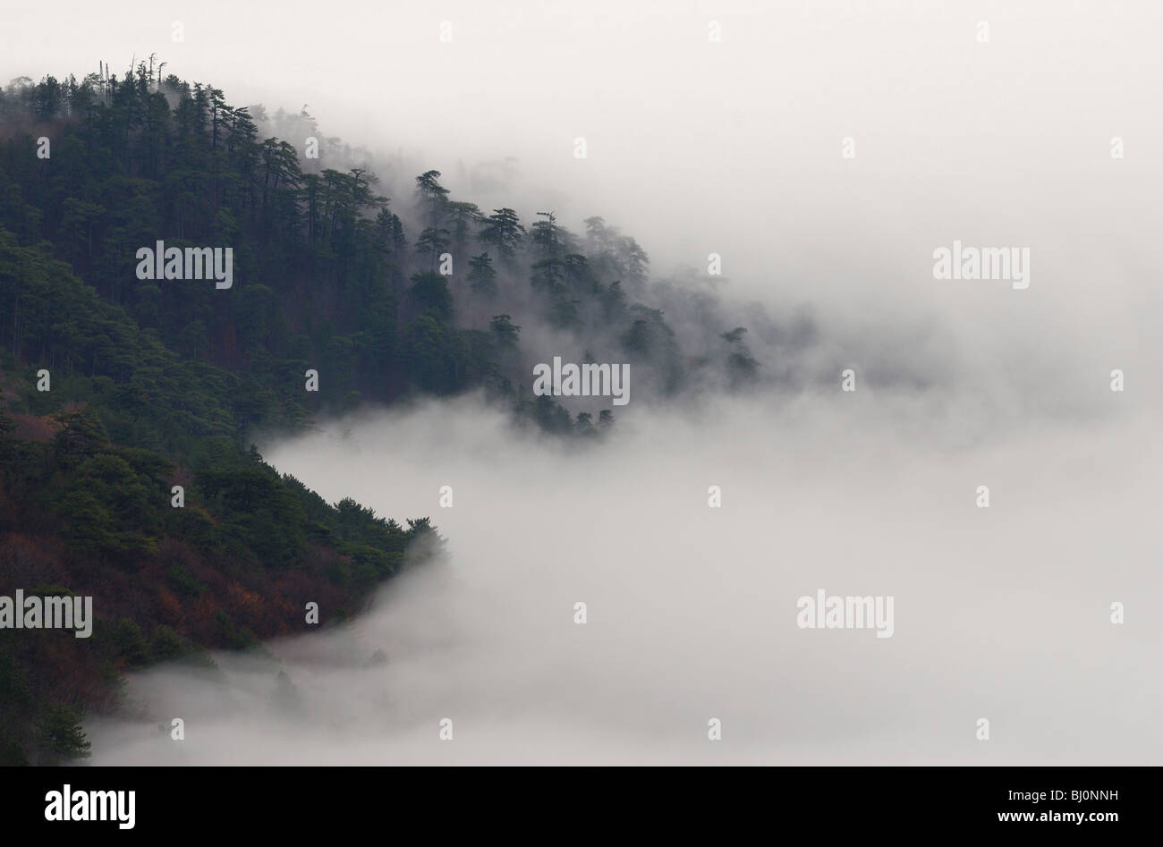 ai-petri mountain landscape on crimea Stock Photo