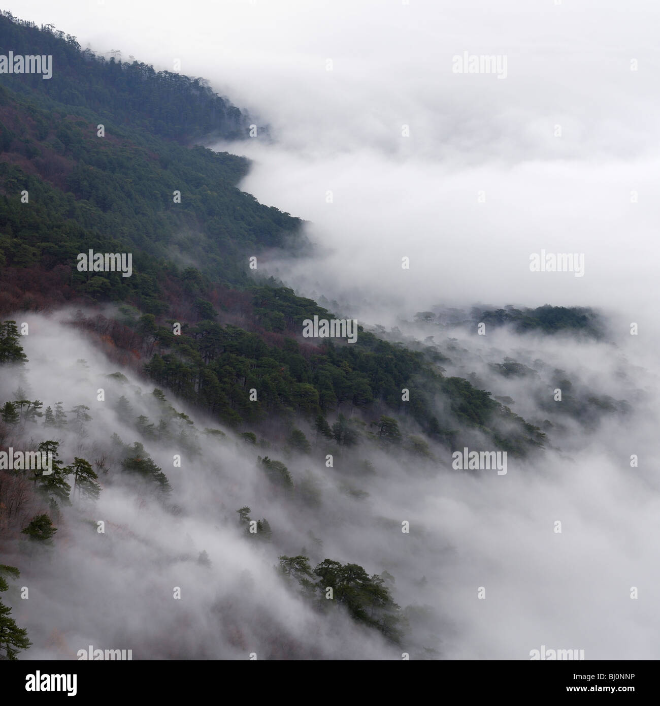 ai-petri mountain landscape on crimea Stock Photo