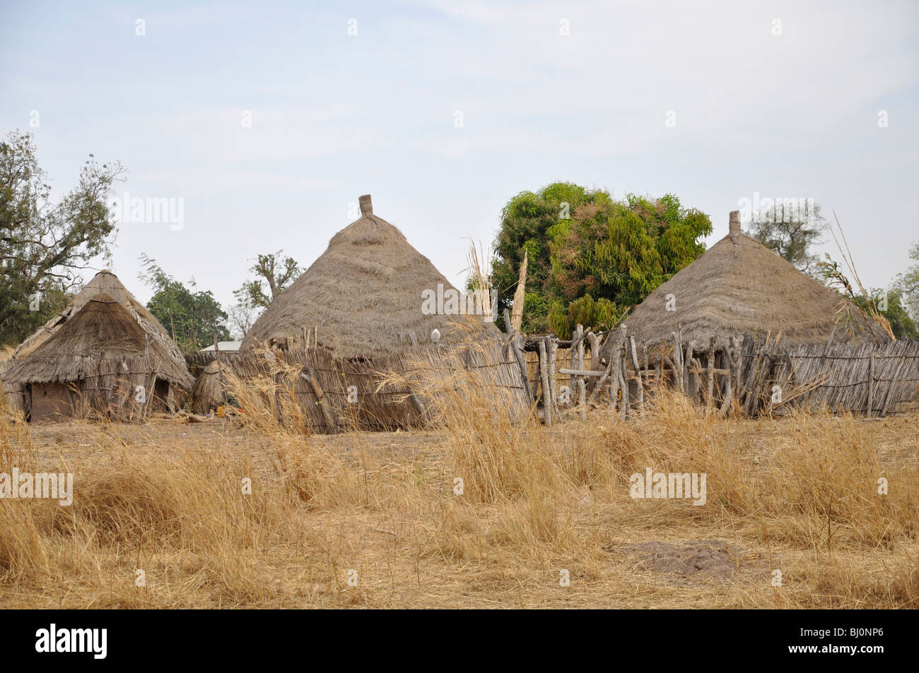 Homes in village in gambia hires stock photography and images Alamy