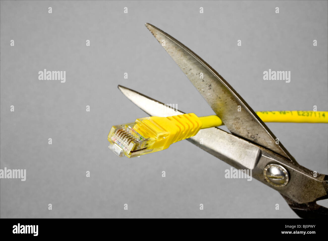 Network cable is cut Stock Photo Alamy