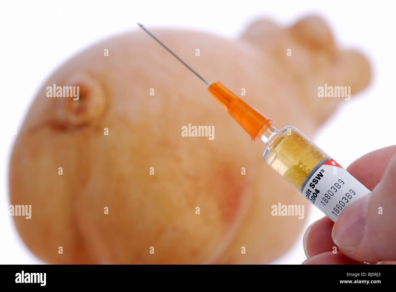 Pork and syringe,  vaccination against swine flu Stock Photo