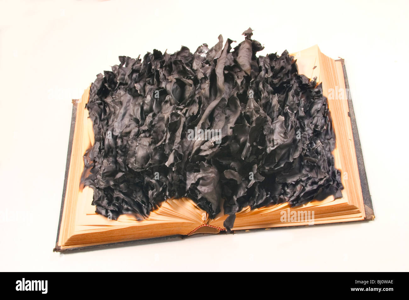 burning old book Stock Photo