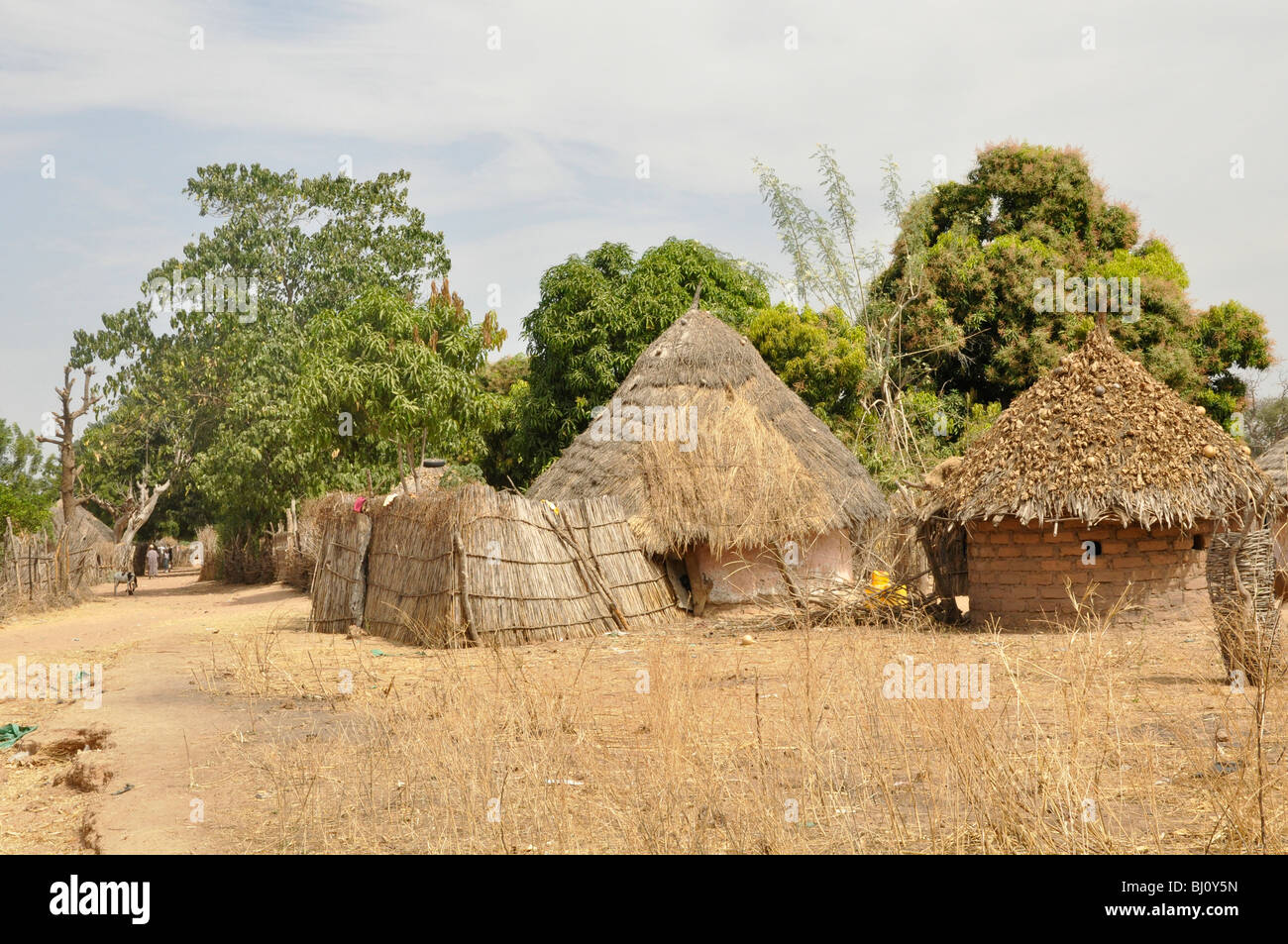 Homes in a village in The Gambia Stock Photo Alamy