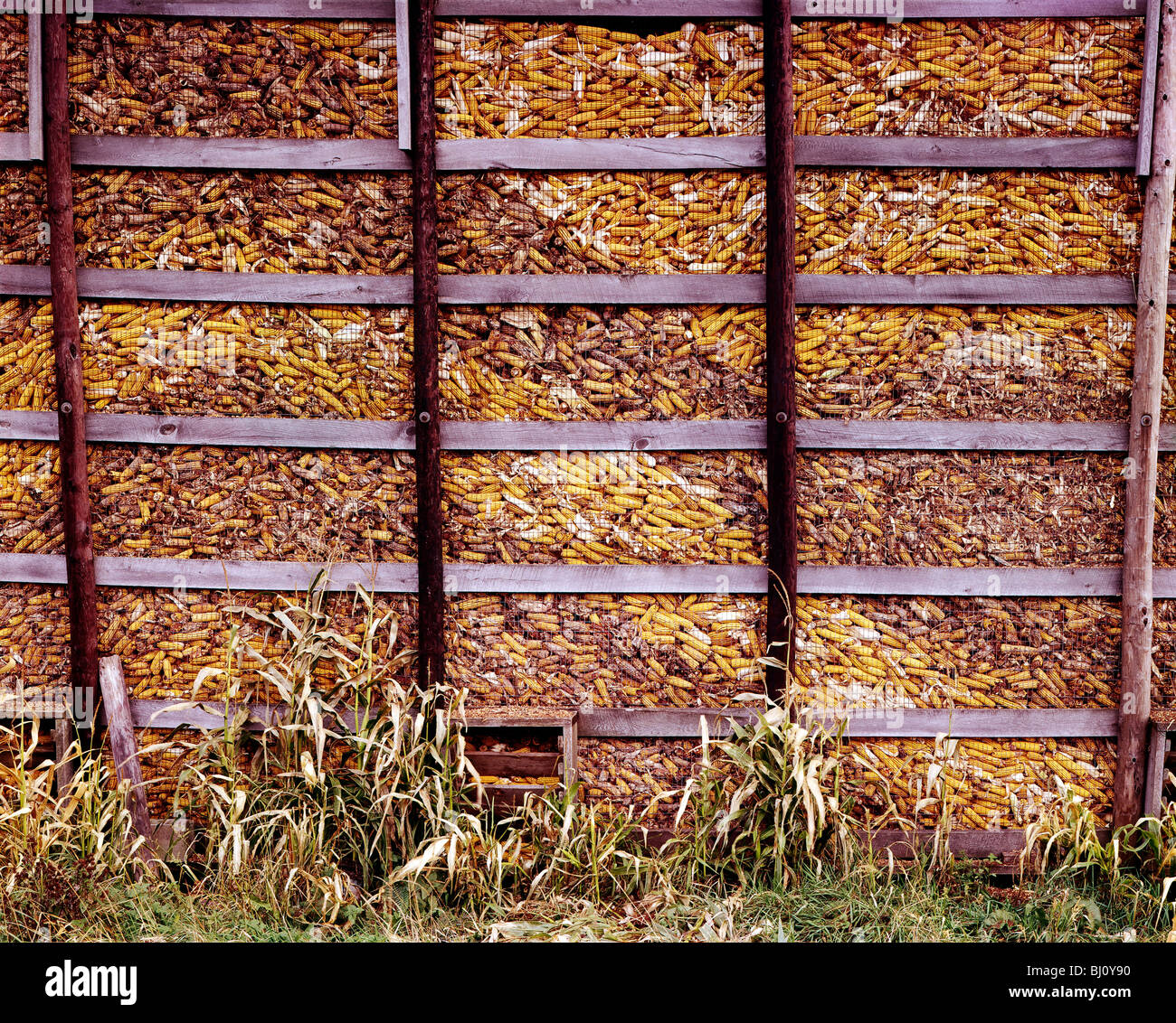 Corn crib High Resolution Stock Photography and Images Alamy