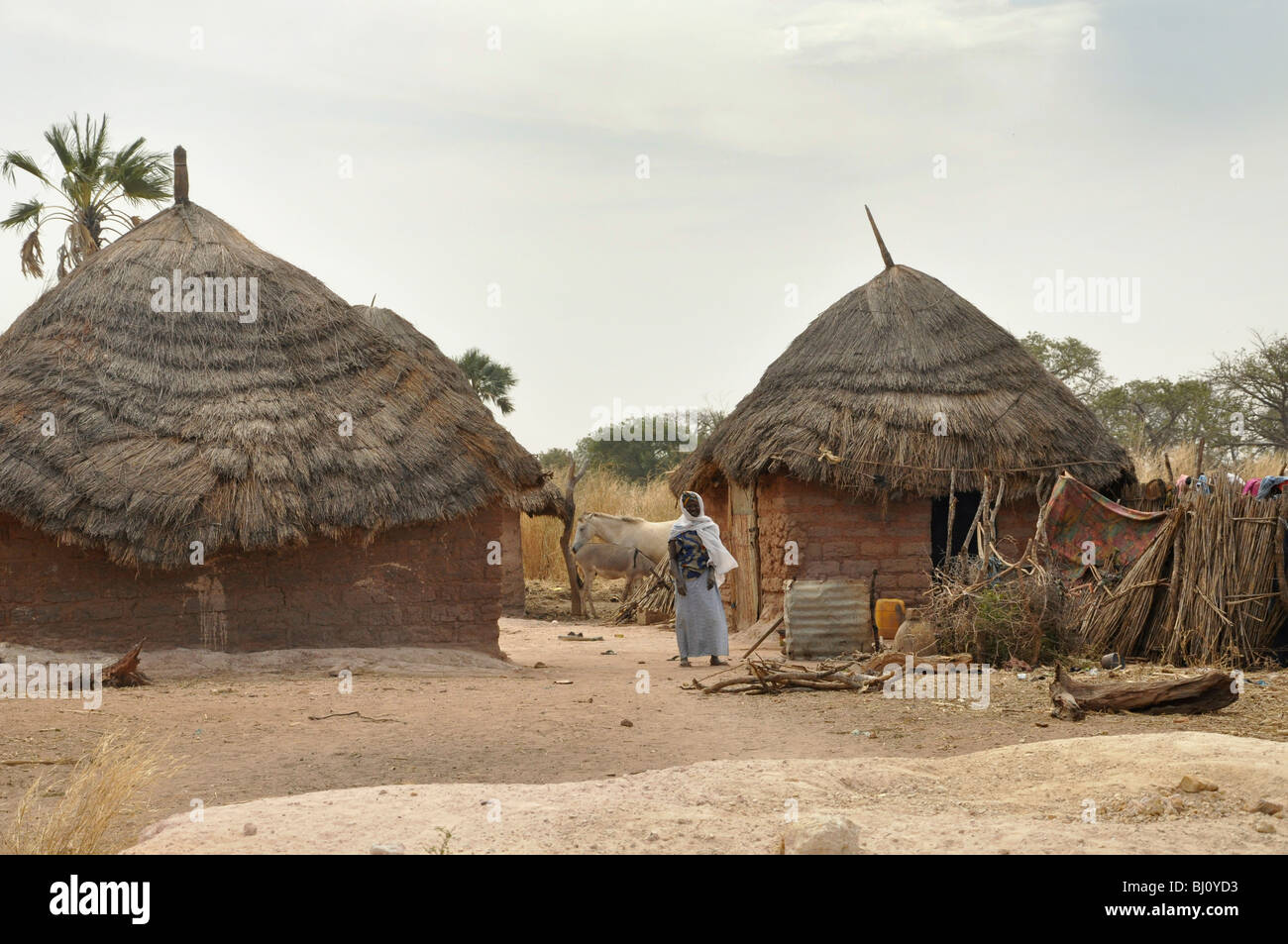 Village compound africa gambia hires stock photography and images Alamy
