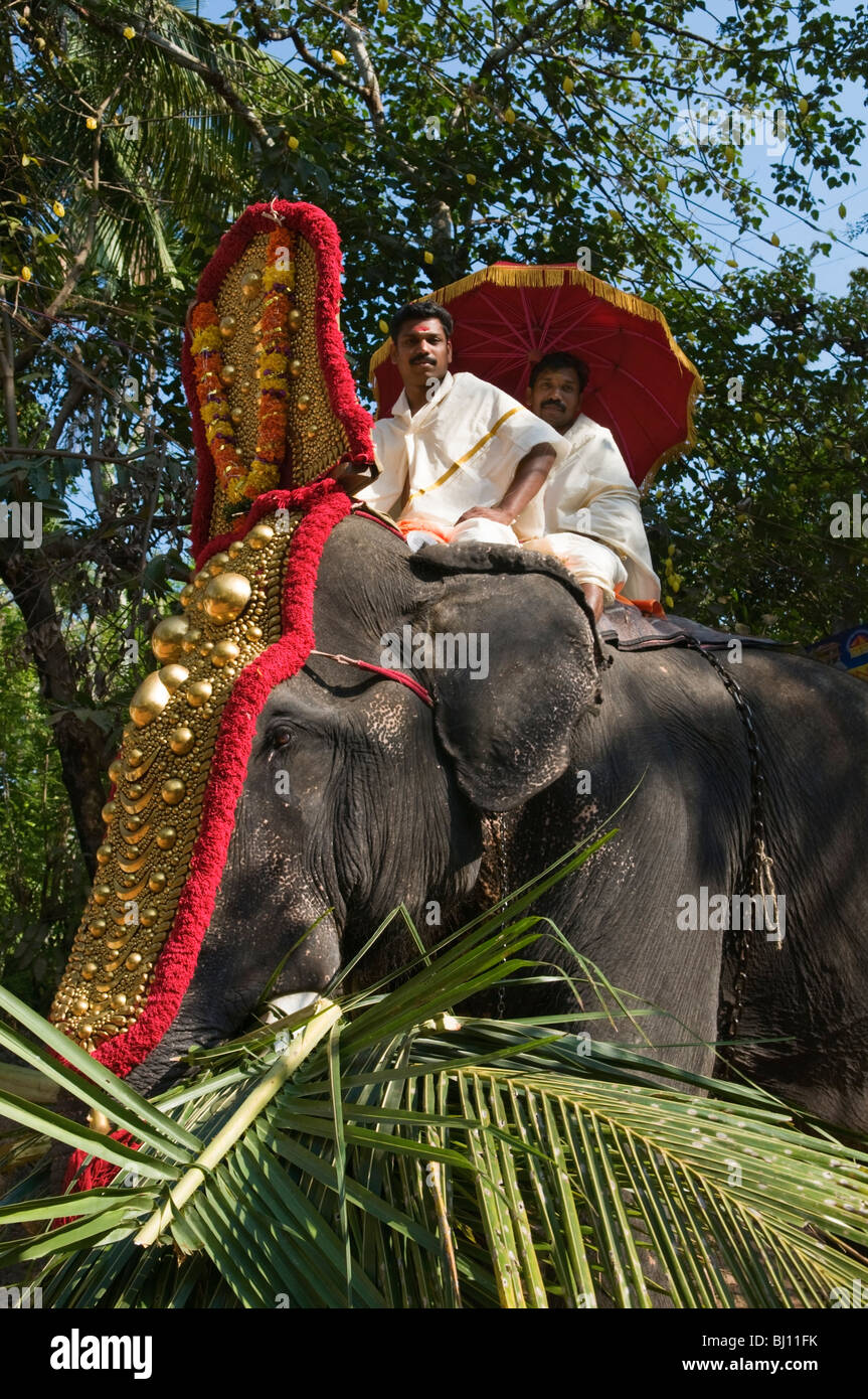 Elephant at temple festival Varkala Kerala India Stock Photo