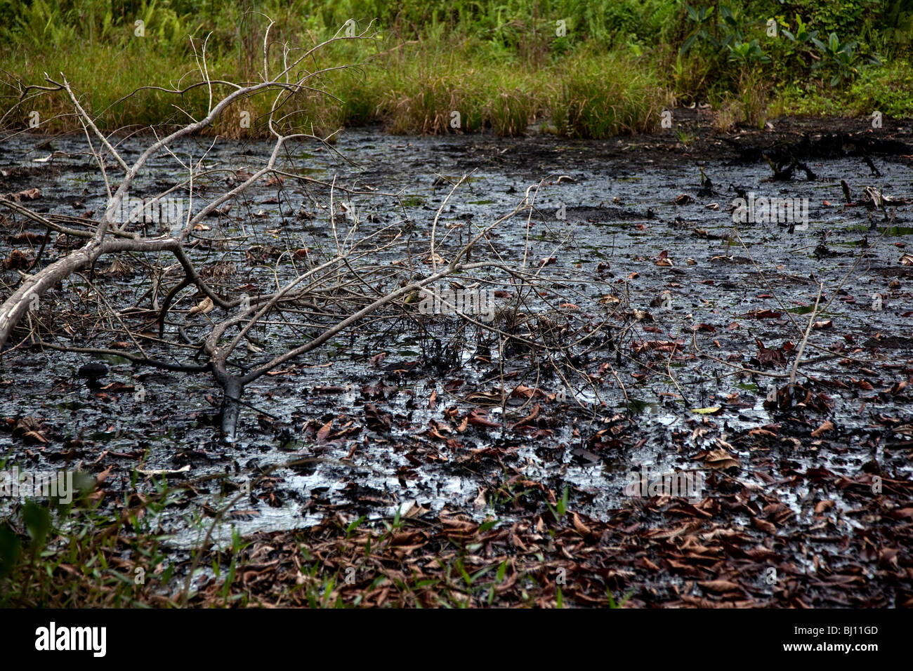 Oil waste pits and pipes in the Ecuadorian Amazon created by Texaco Oil have allegedly contaminated a Rhode Island size area. Stock Photo
