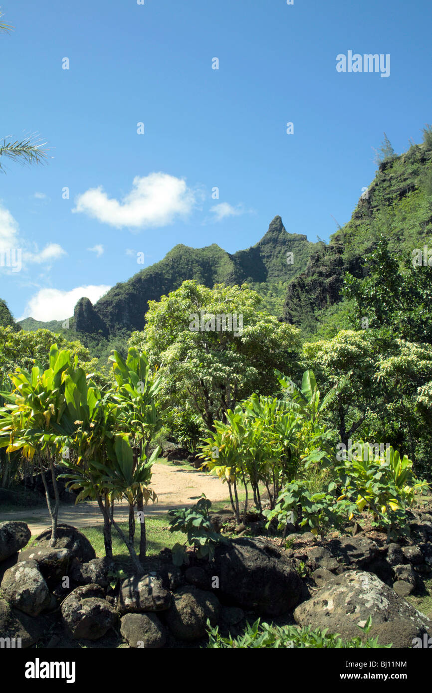 Limahuli garden hi-res stock photography and images - Alamy