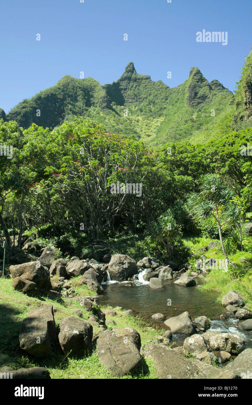 Limahuli garden hi-res stock photography and images - Alamy