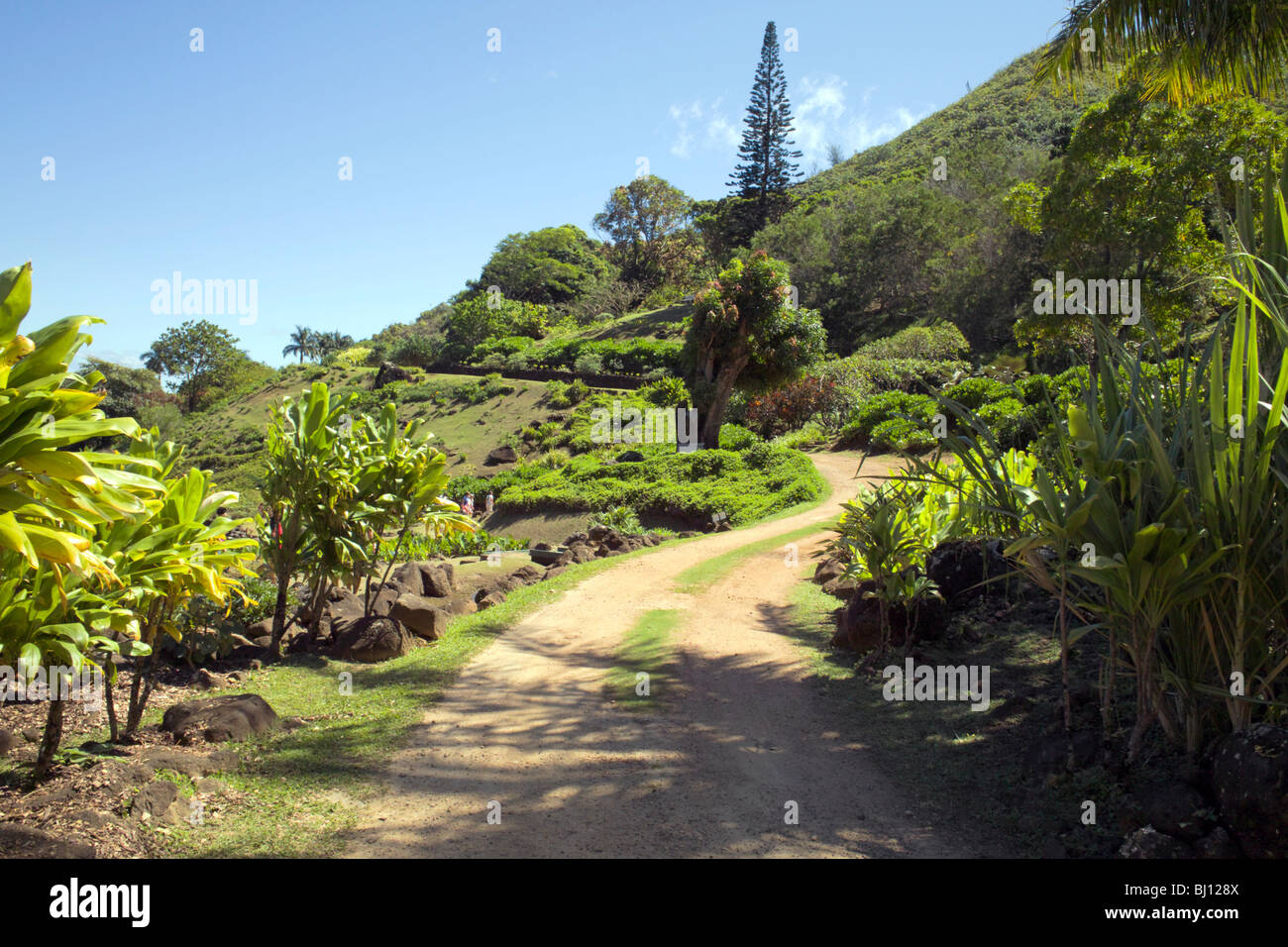 Limahuli Garden Kauai HI Stock Photo - Alamy