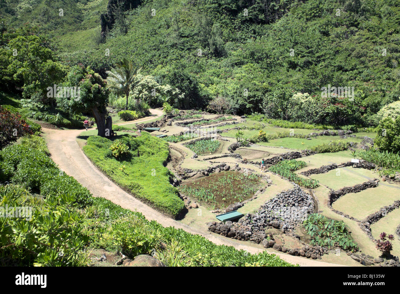Limahuli garden hi-res stock photography and images - Alamy