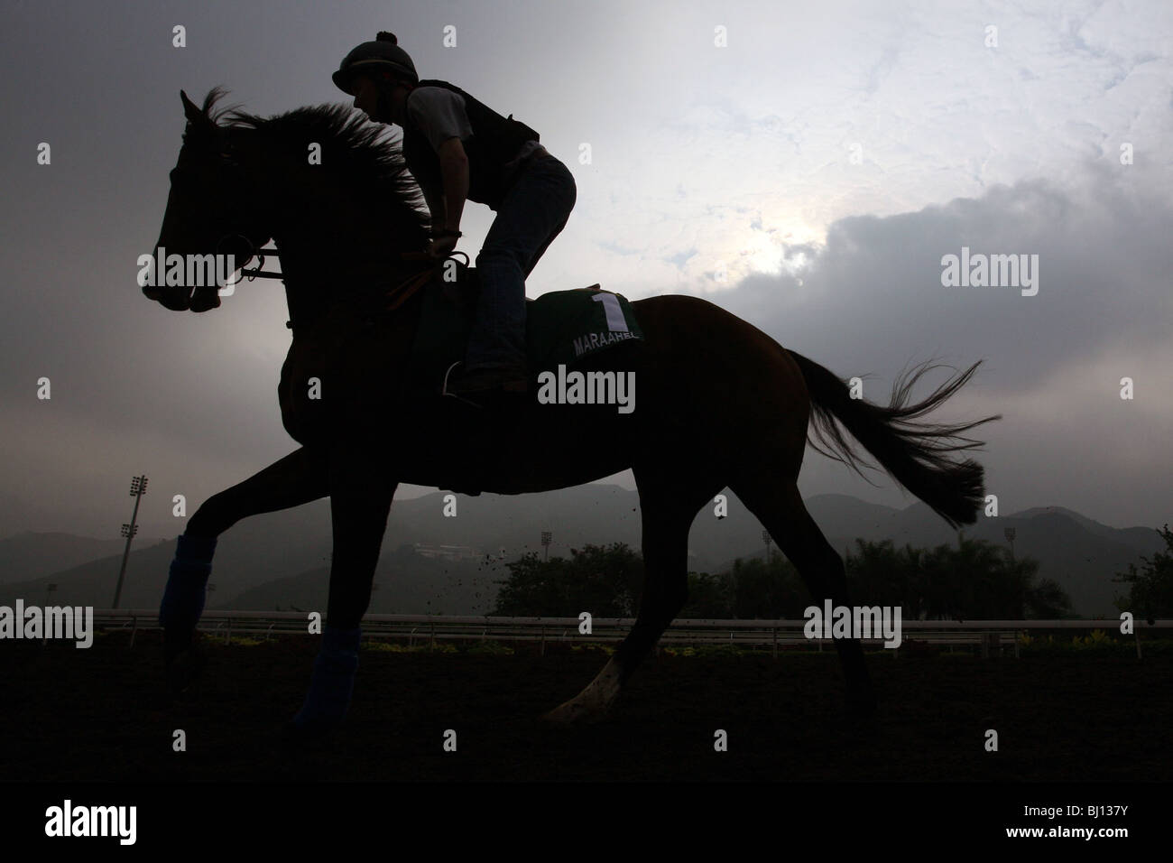 Silhouette of a horse and a rider Stock Photo
