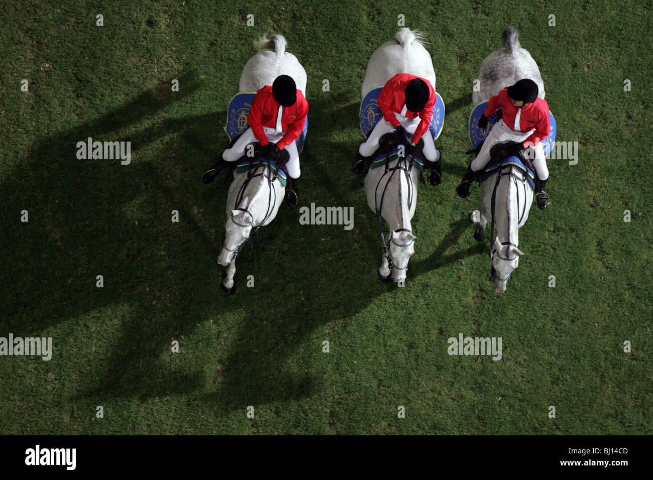 Aerial view of horses and riders, Hong Kong, China Stock Photo