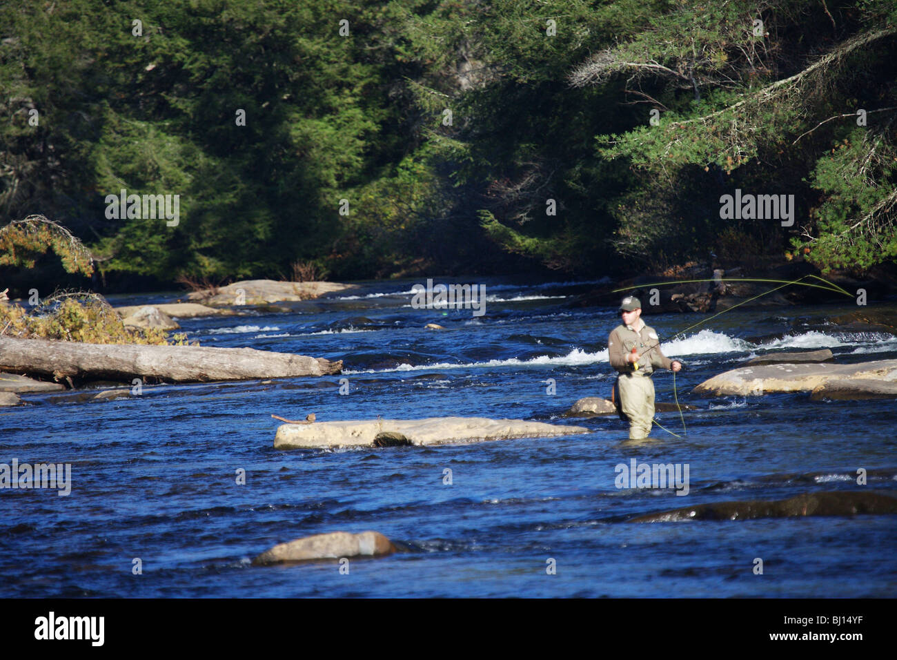 FLY FISHERMAN FISHING IN FAST RUNNING RIVER IN SEARCH OF TROUT TOCCOA