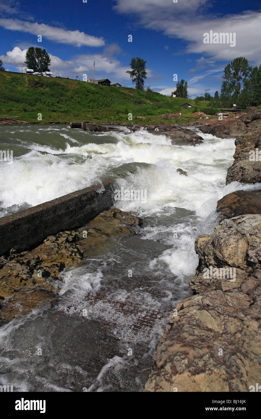 Fish ladder hi-res stock photography and images - Alamy