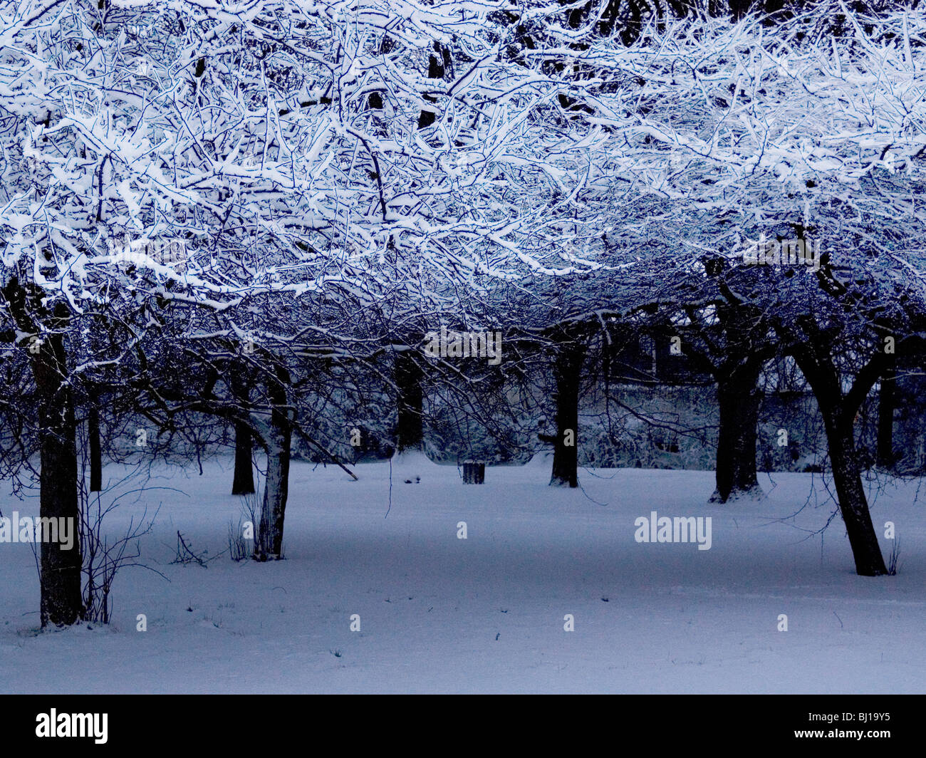 London park after snow hi-res stock photography and images - Alamy