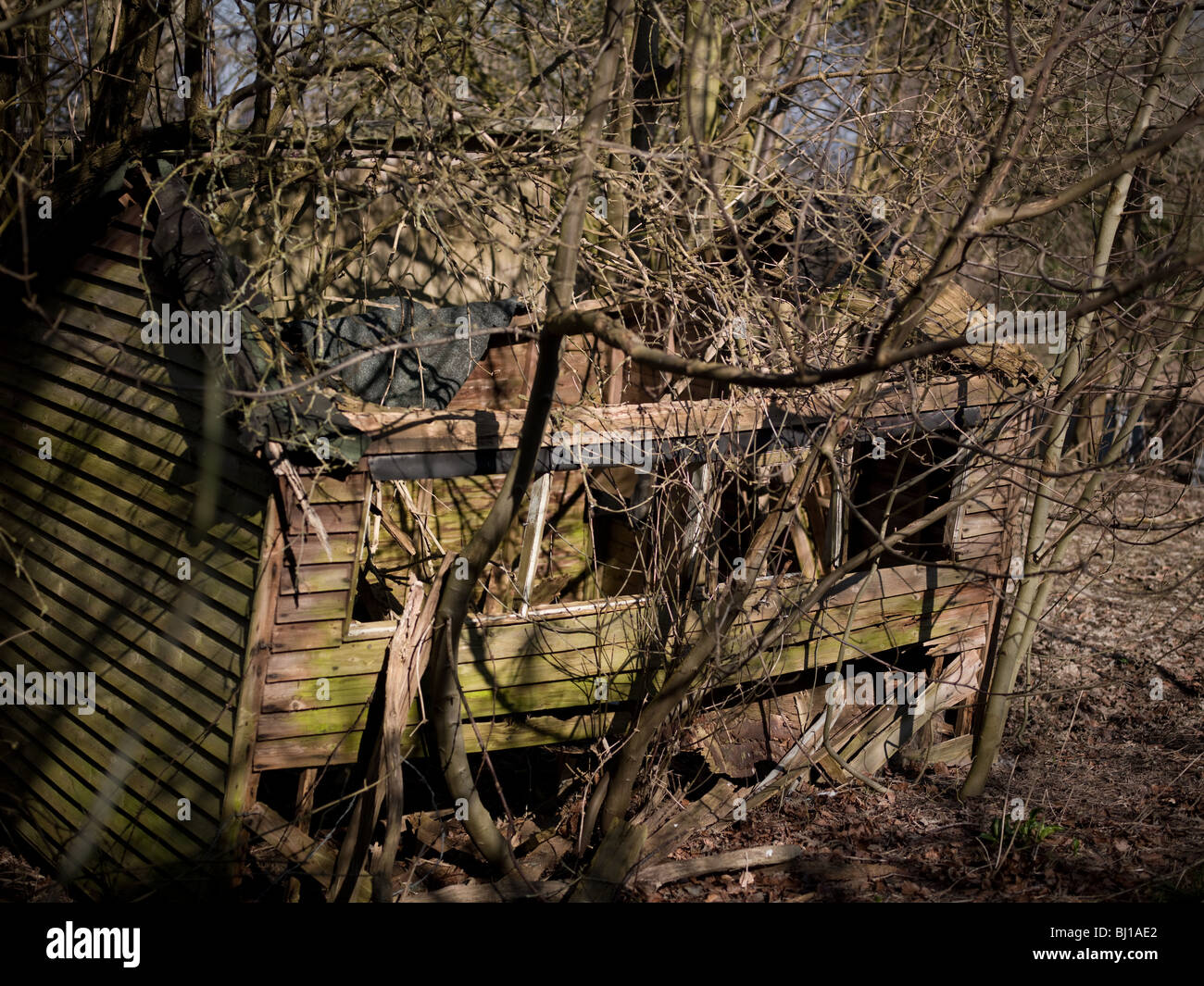 Broken Shed Stock Photos & Broken Shed Stock Images - Alamy