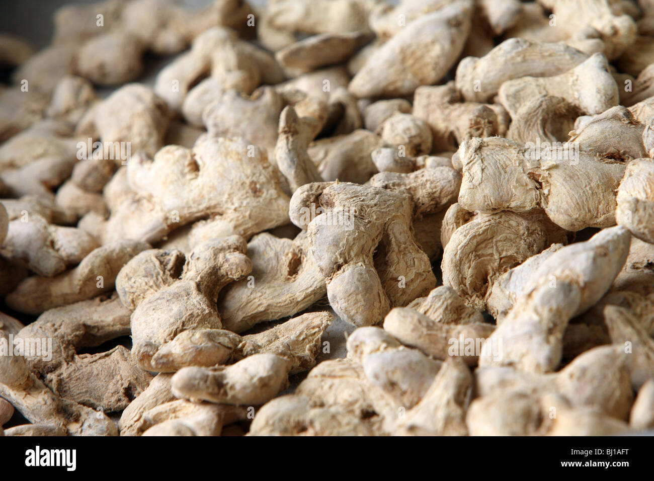 Ingredients for ayurvedic products ginger roots, Colombo, Sri Lanka
