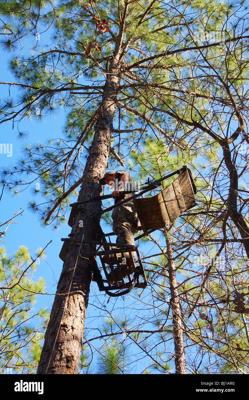 Hunter Climbing Pine Tree With Climbing Tree Stand Mossy Oak Camo