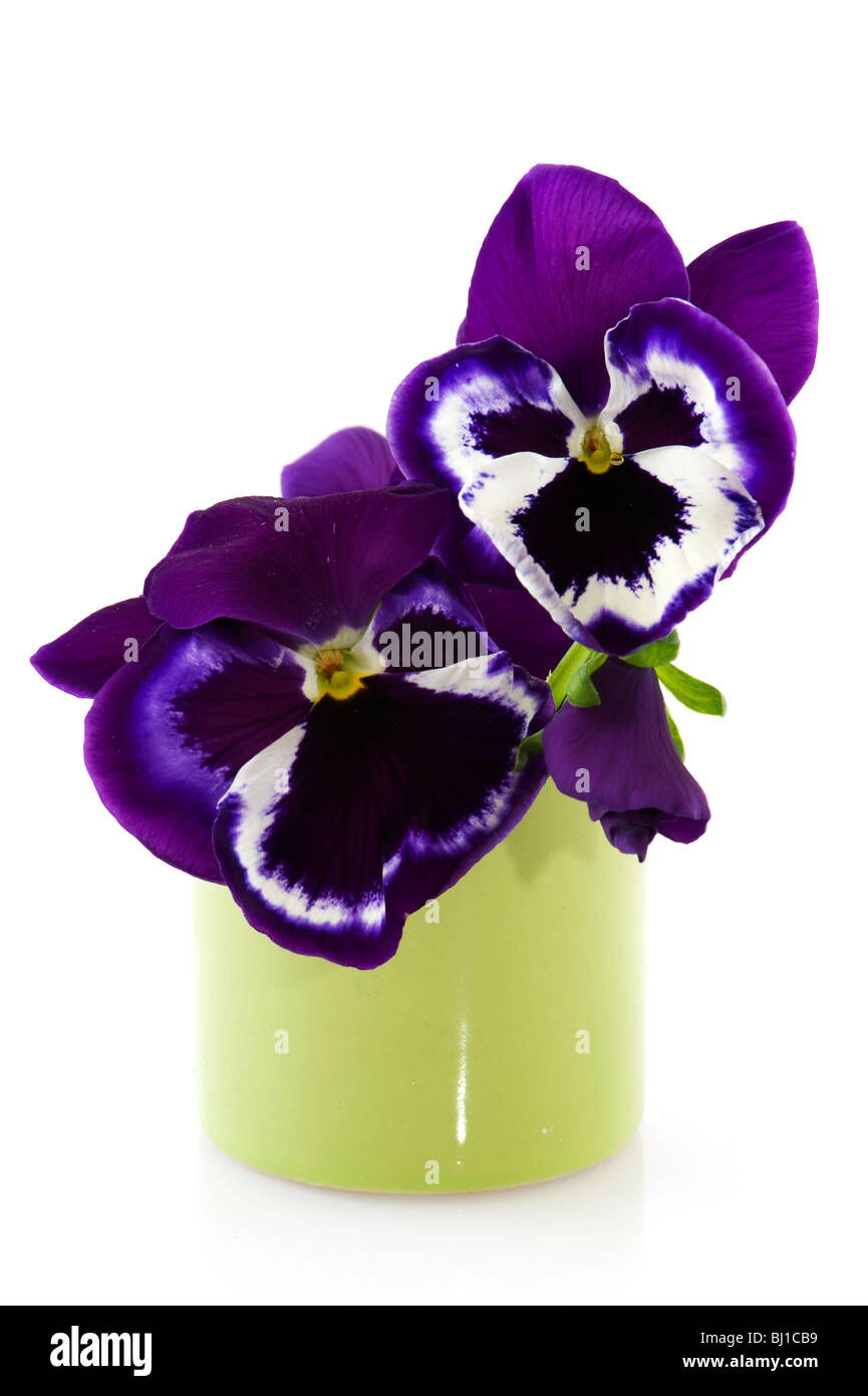 A little bouquet of Purple pansies in green vase Stock Photo