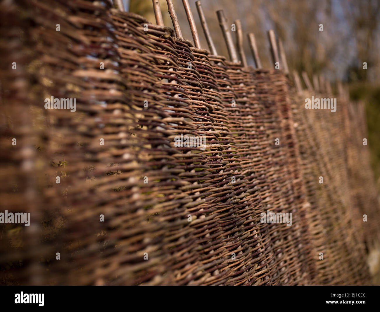 Wicker fencing hires stock photography and images Alamy