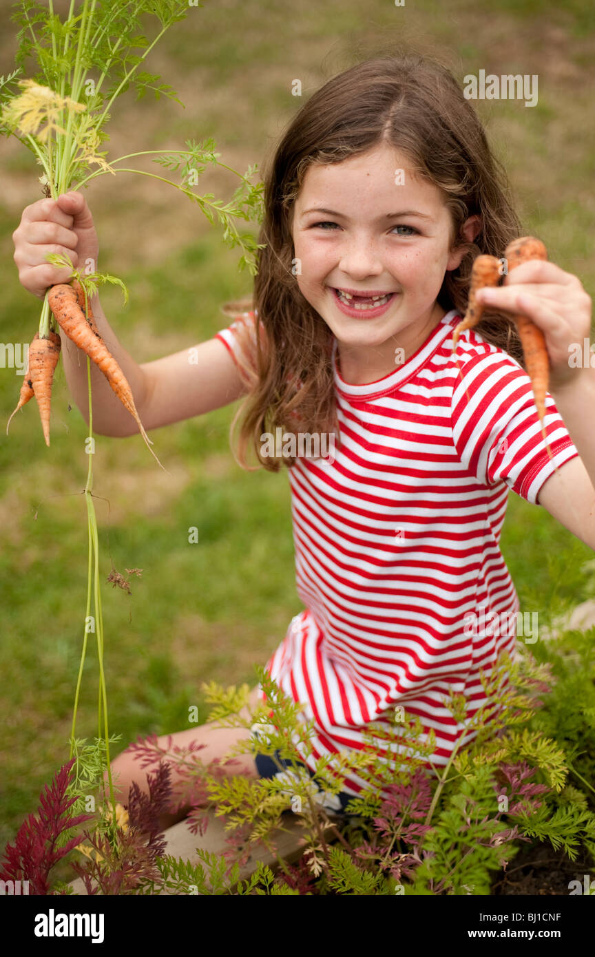 little girl (7 years old) picking carrots out of vegetable garden Stock Photo