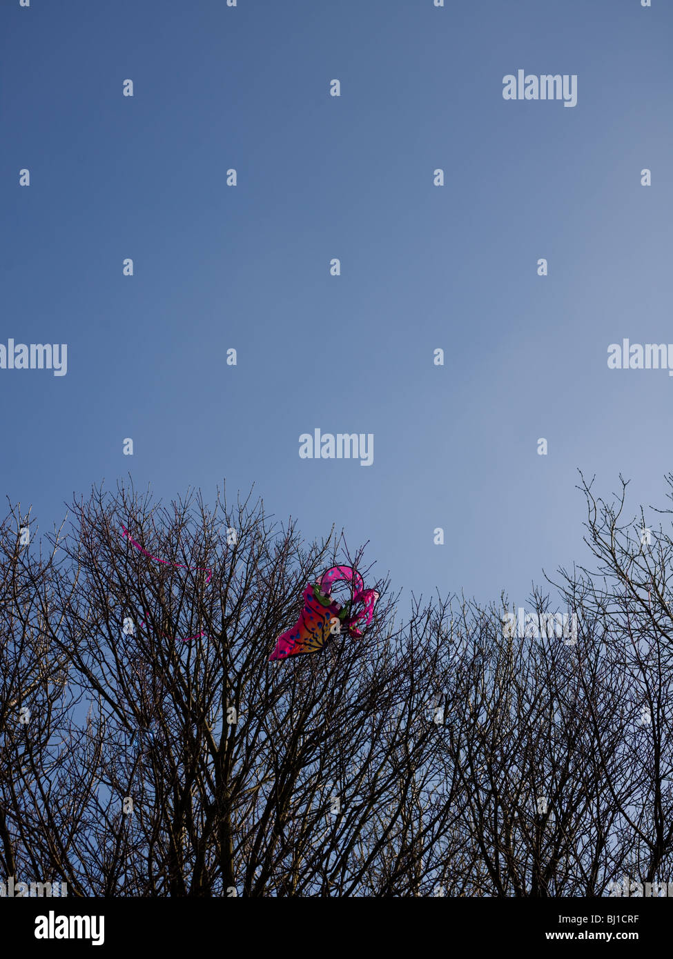 Kyte trees hires stock photography and images Alamy