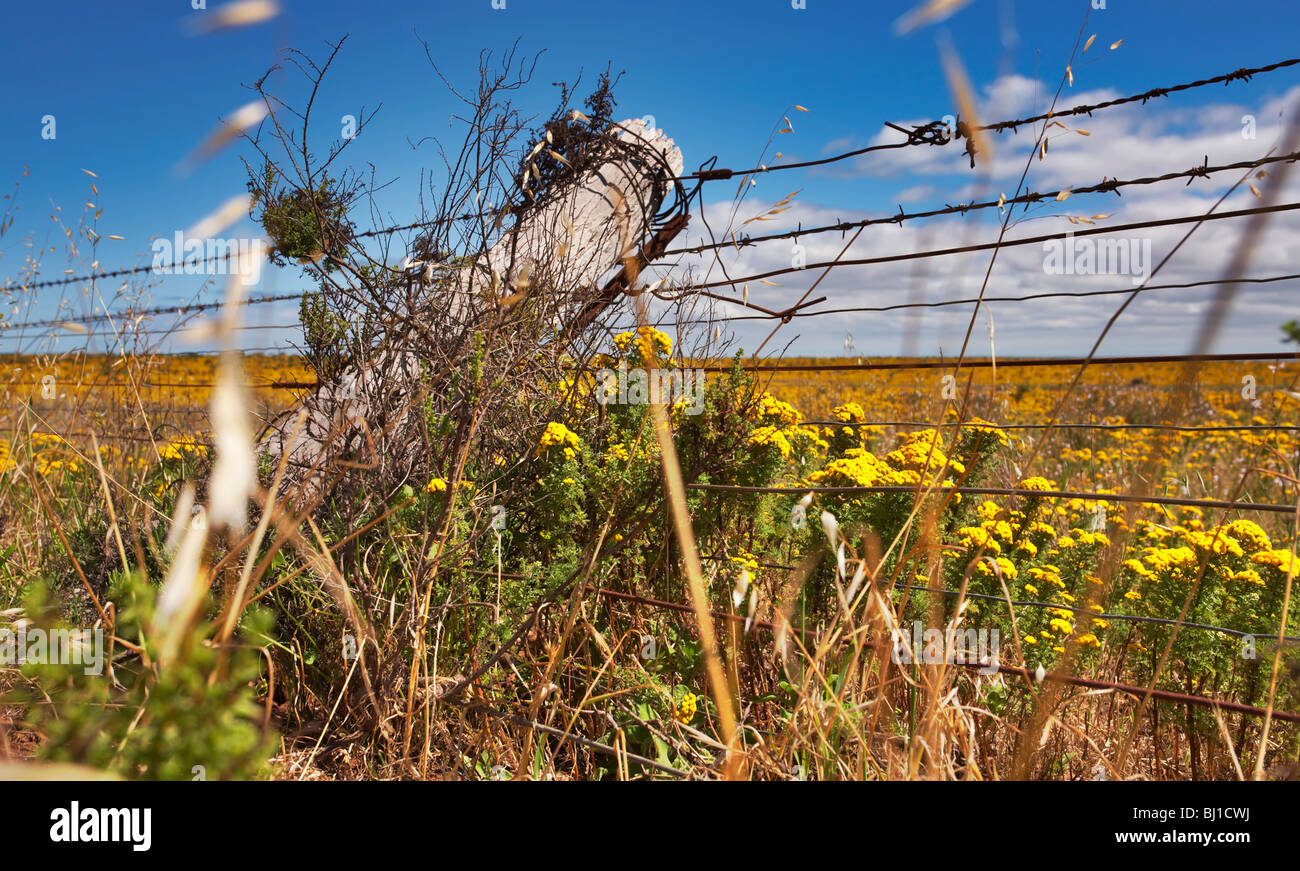 Farm Fence Post Stock Photo Alamy