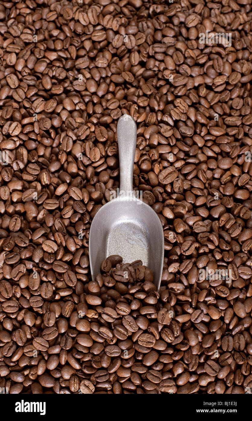 Coffee beans background with a spoon Stock Photo