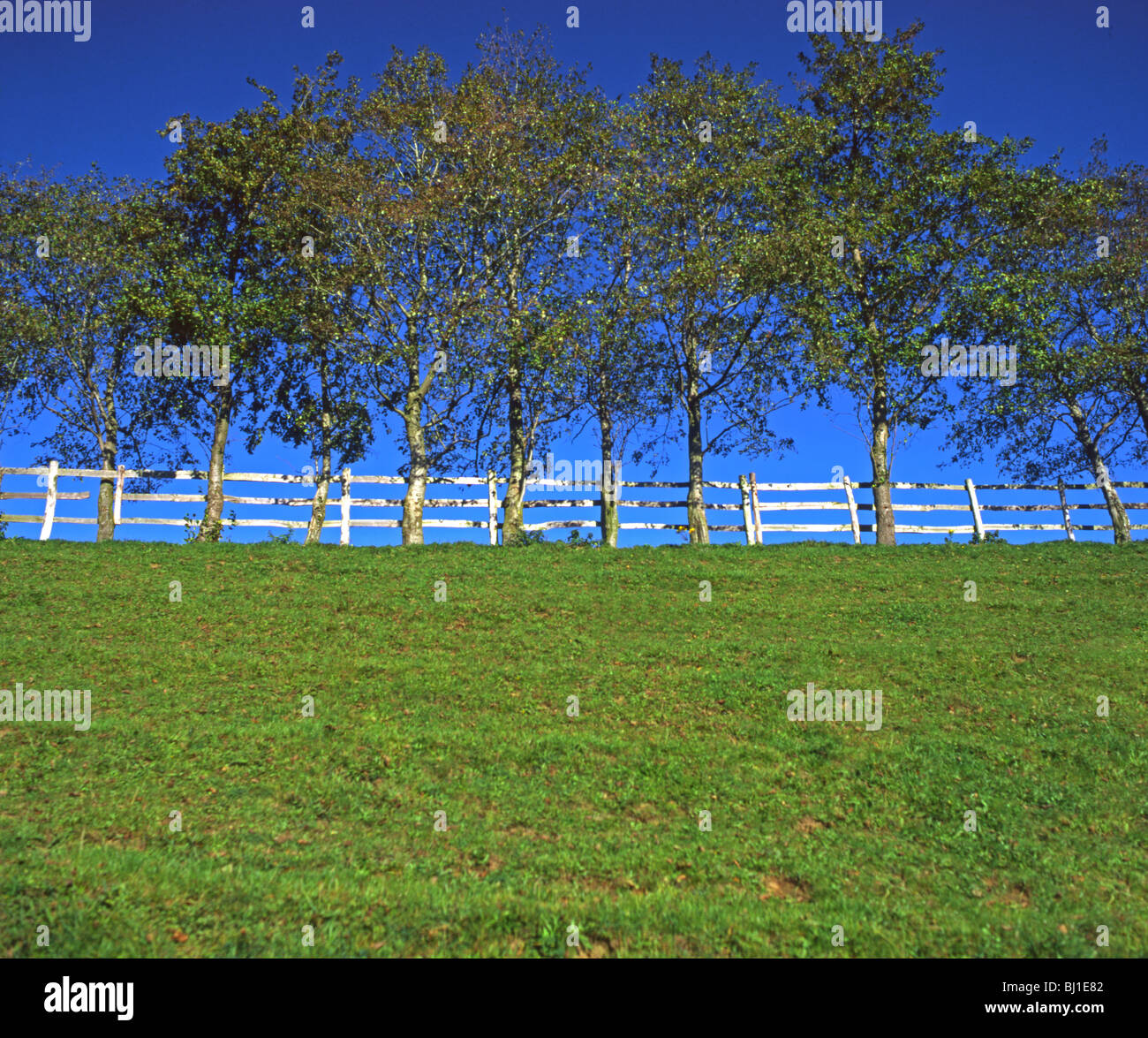 Trees grass fence hi-res stock photography and images - Alamy