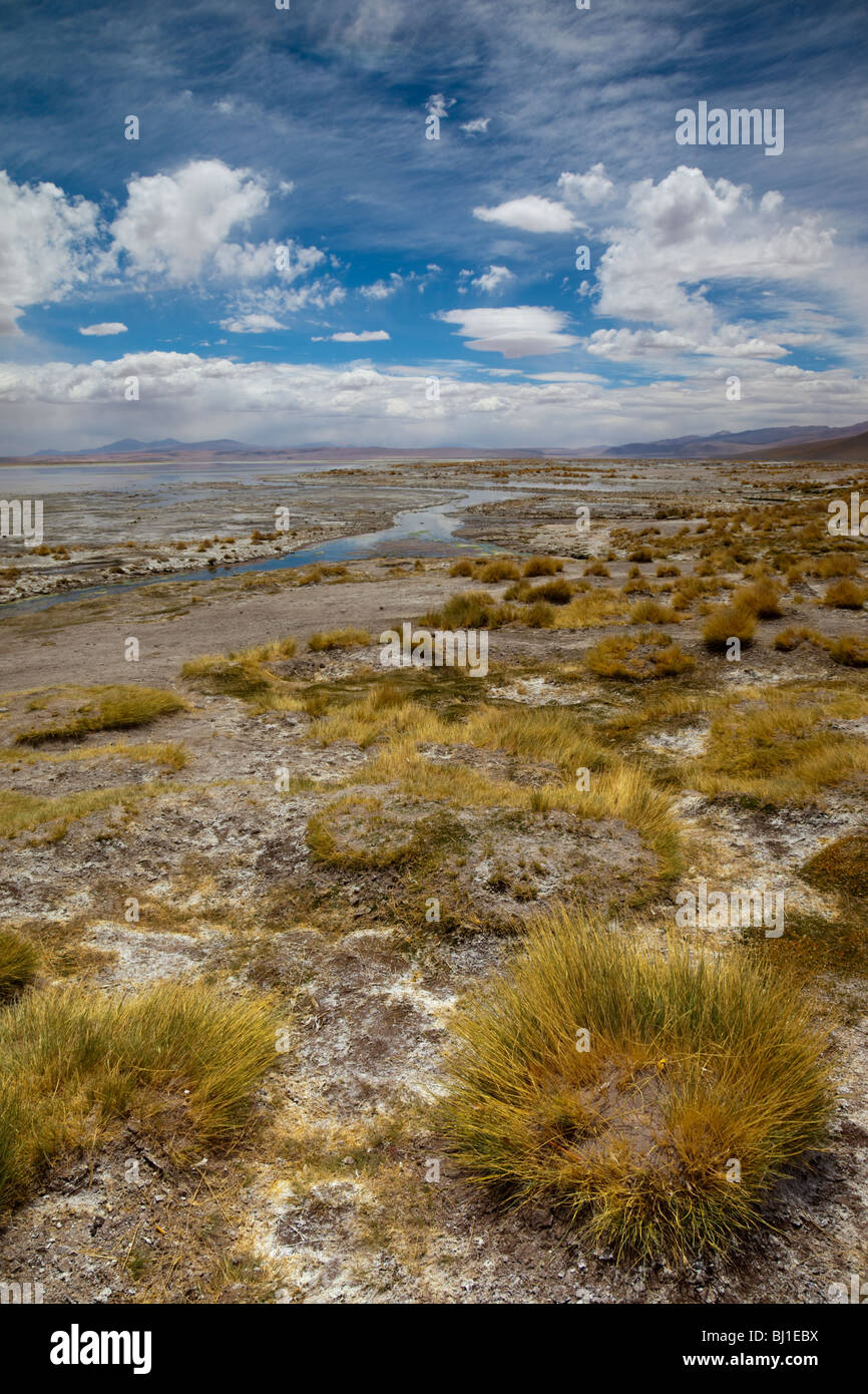 Laguna Salada, Termas de Polques, Bolivian Altiplano, Bolivia, South America Stock Photo