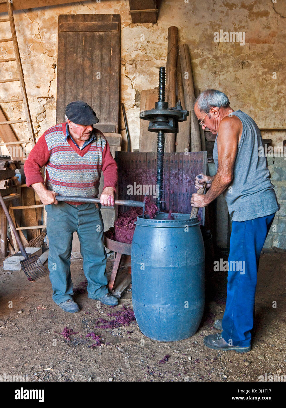 French farmers loading wine grape residue into barrel - sud-Touraine,  France Stock Photo - Alamy