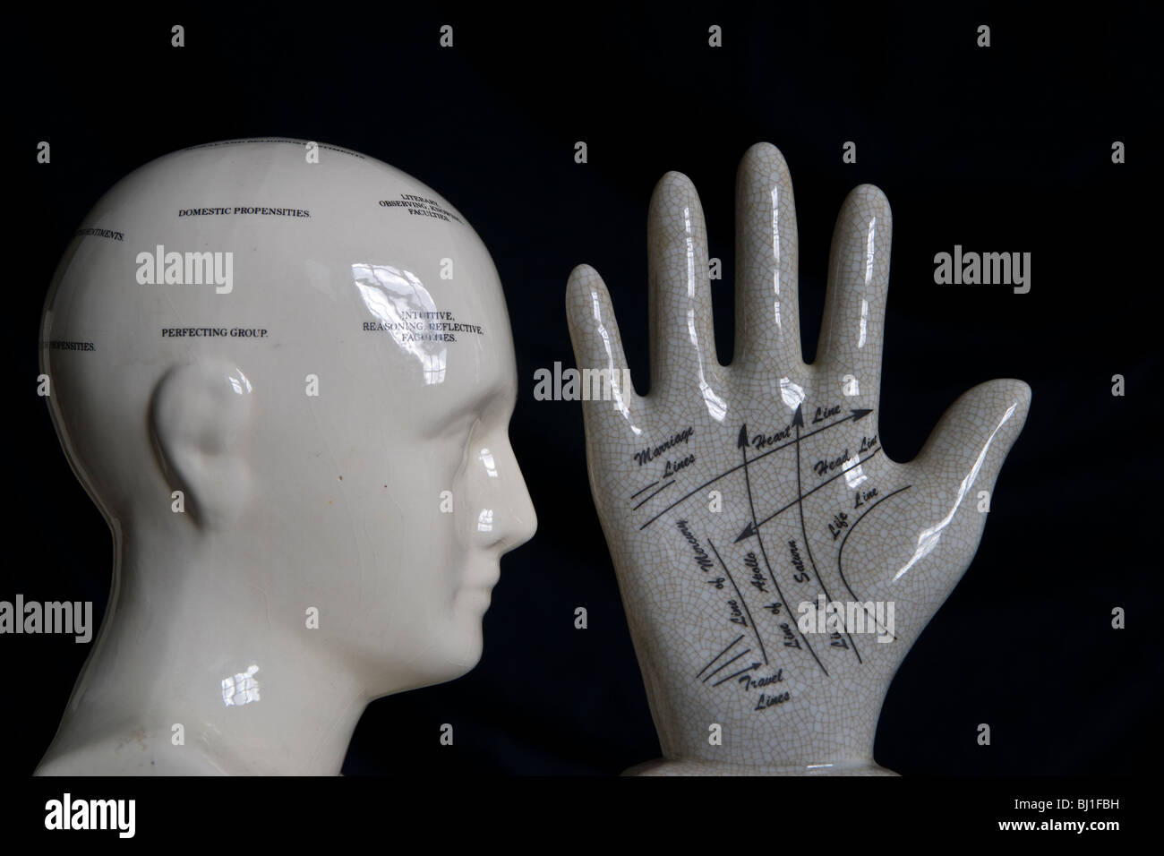 Phrenology Head with Hand Stock Photo