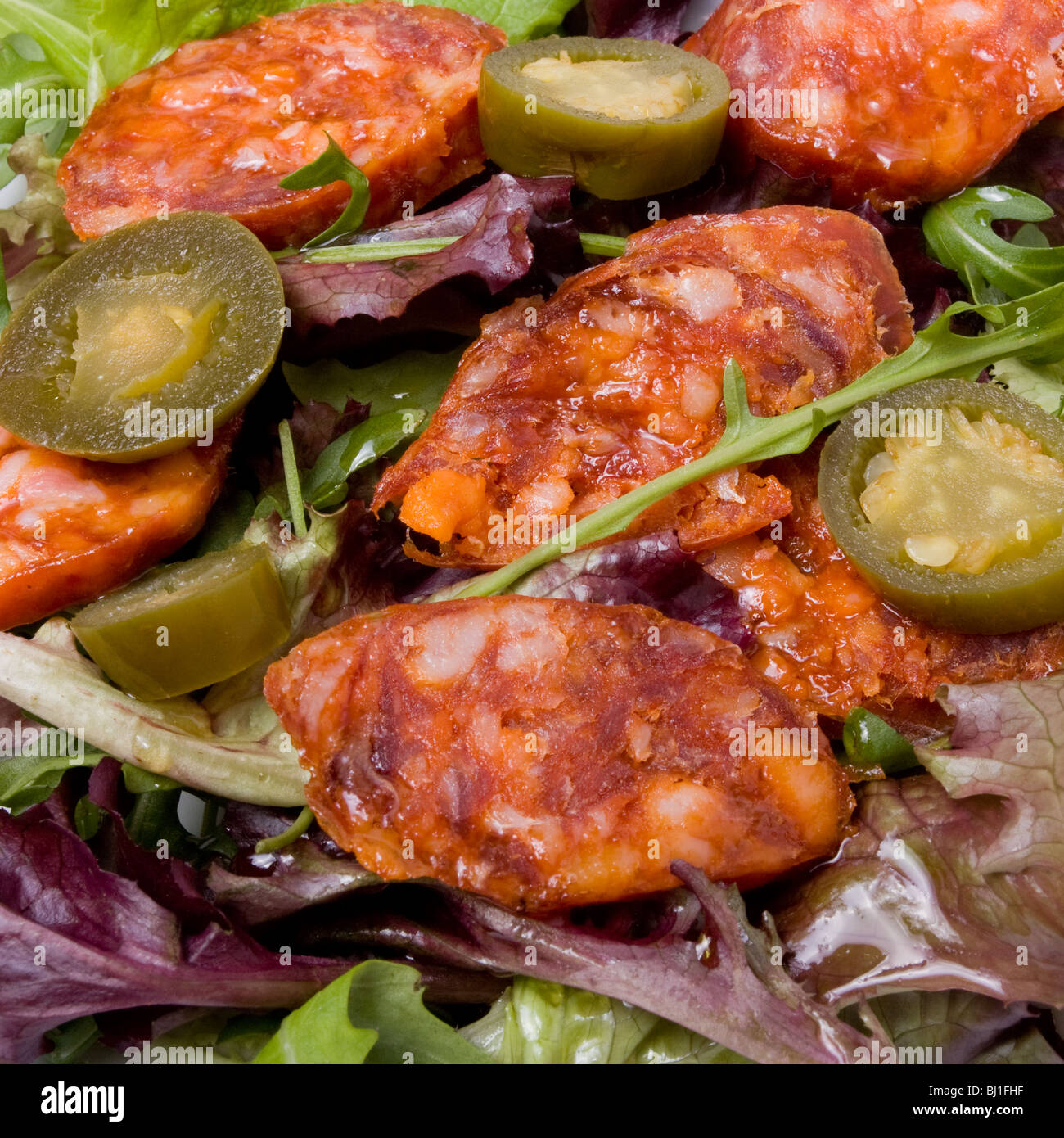 Spicy Mediterranean Salad of chorizo sausage with jalapeño chilli's and herby salad leafs Stock