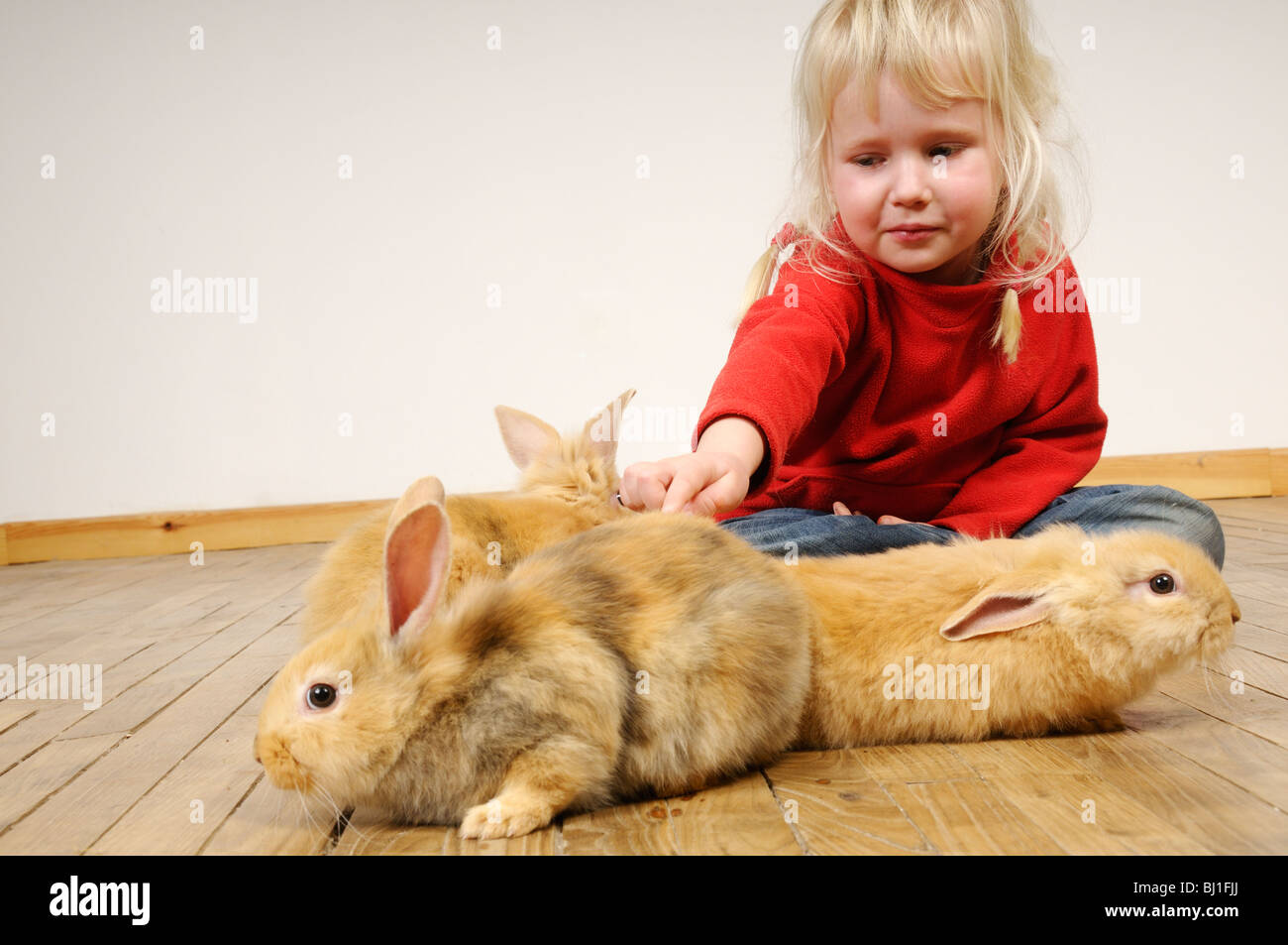 Stock photo of a four year old girl playing with her pet rabbits on a