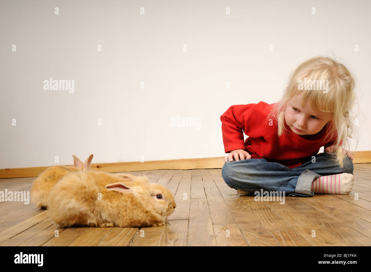 Stock photo of a four year old girl playing with her pet rabbits on a ...