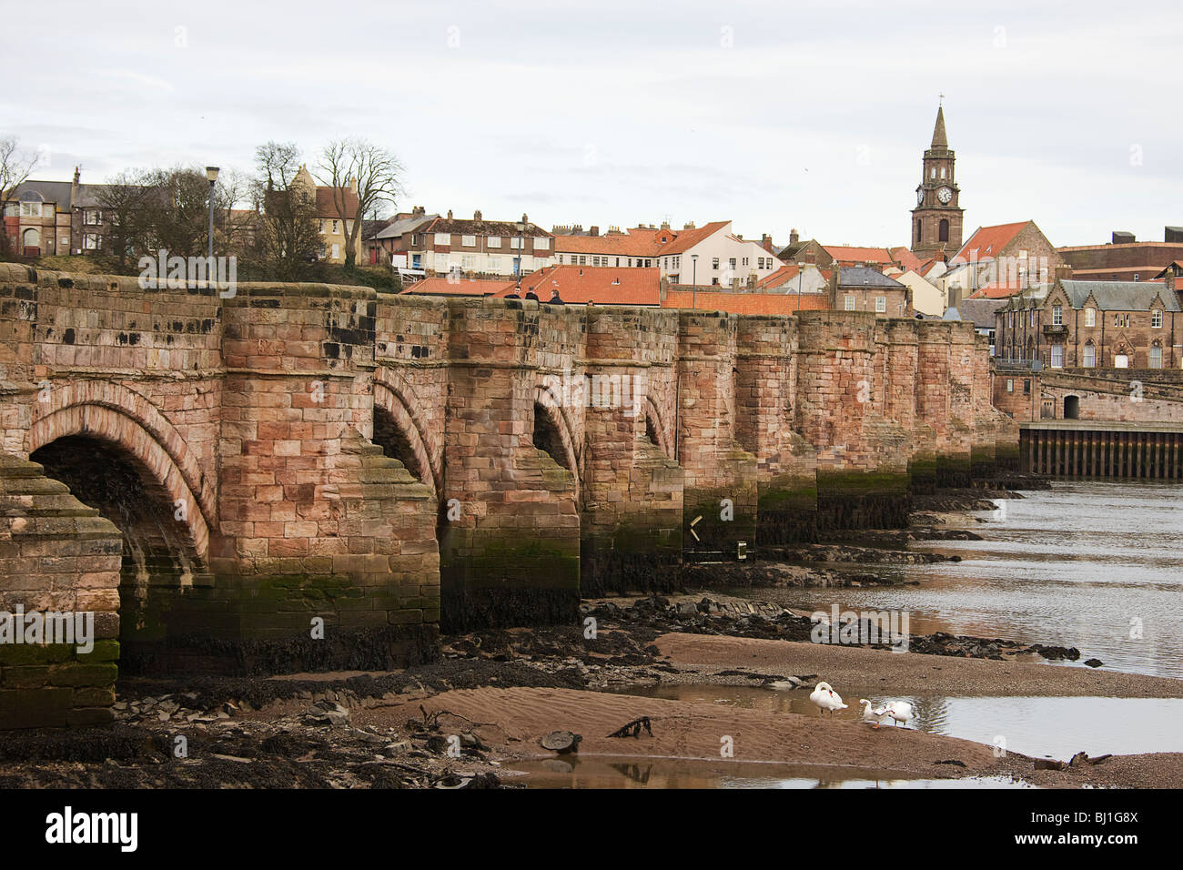 Berwick upon Tweed. The Old Bridge River Tweed Stock Photo Alamy
