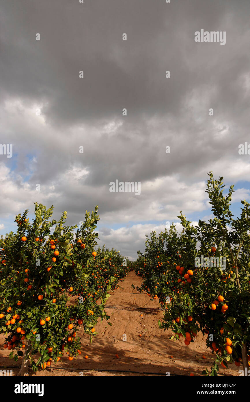 Route 353 hi-res stock photography and images - Alamy