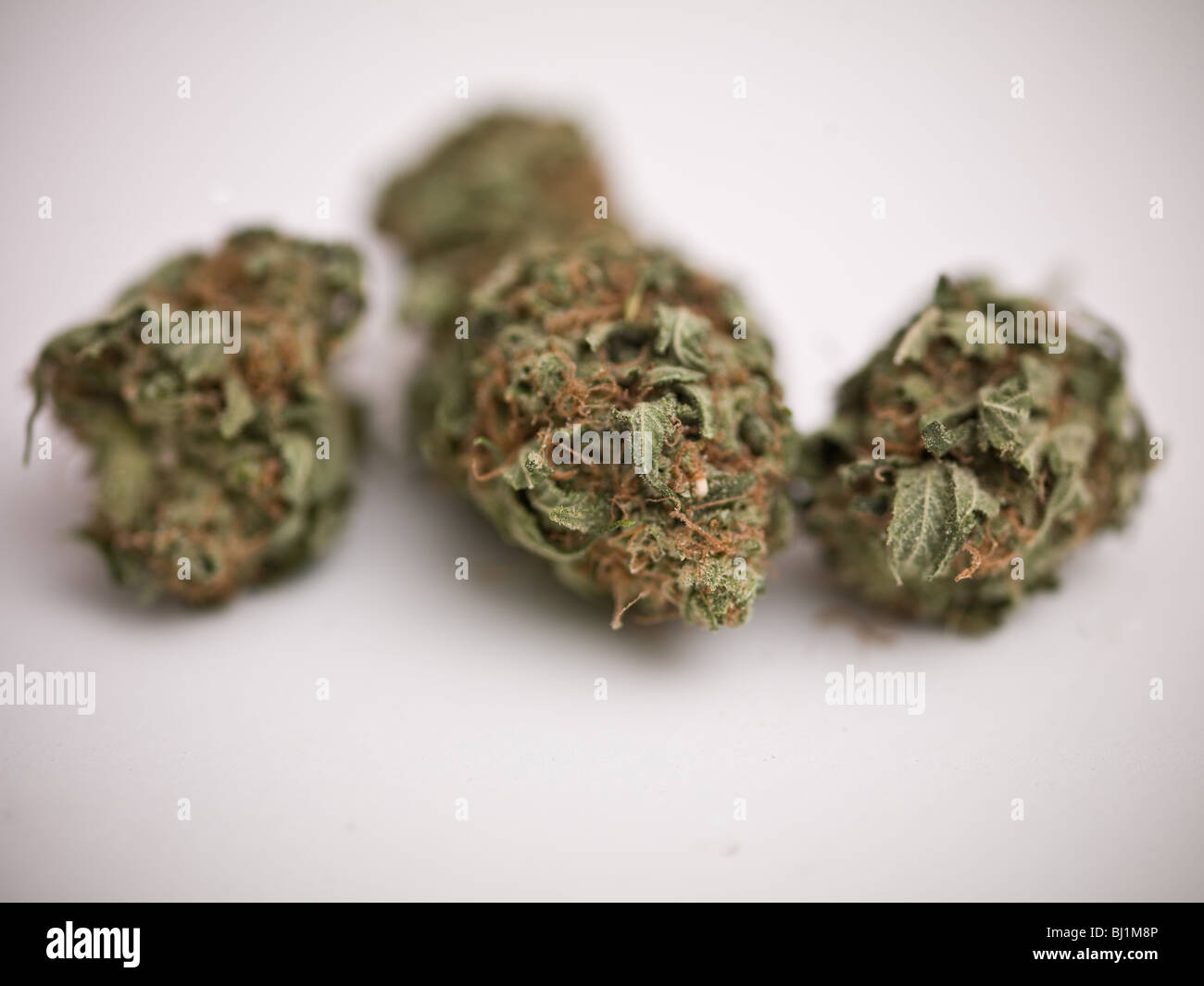 Page 2 Ganja High Resolution Stock Photography And Images Alamy