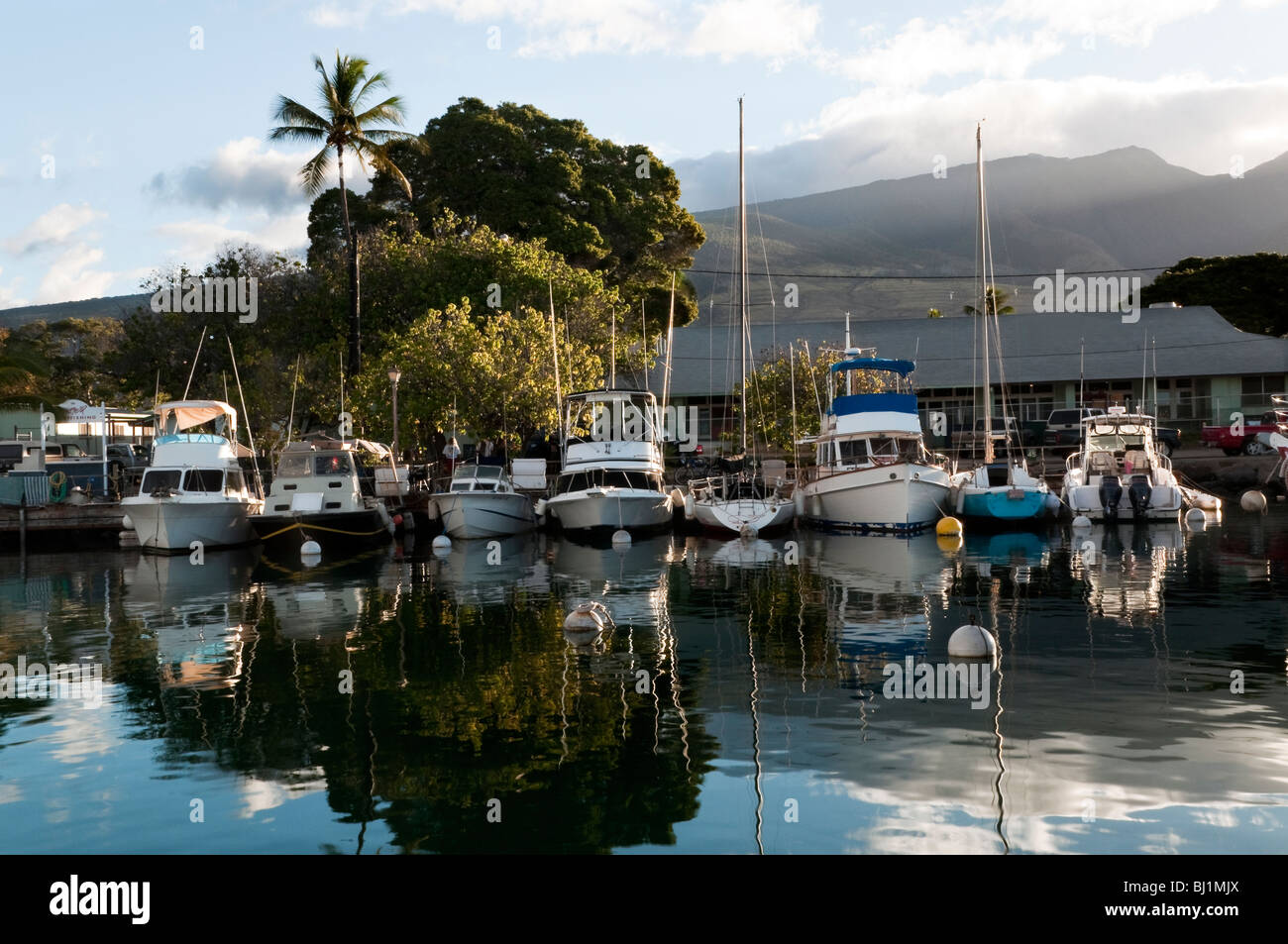 Classic shot of Lahaina Harbor, West Maui Hawaii showing big game
