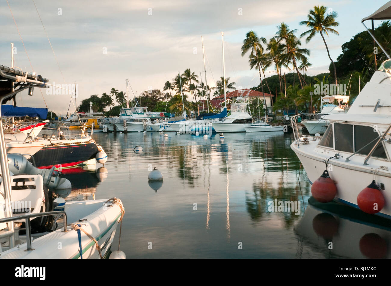 Lahaina Harbor, West Maui Hawaii showing big game fishing boats and