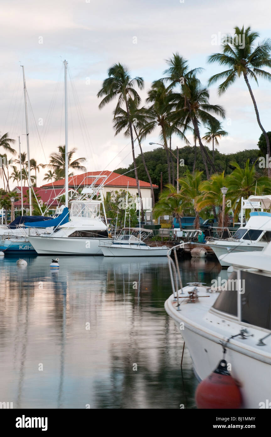 Lahaina Harbor, West Maui Hawaii showing big game fishing boats and