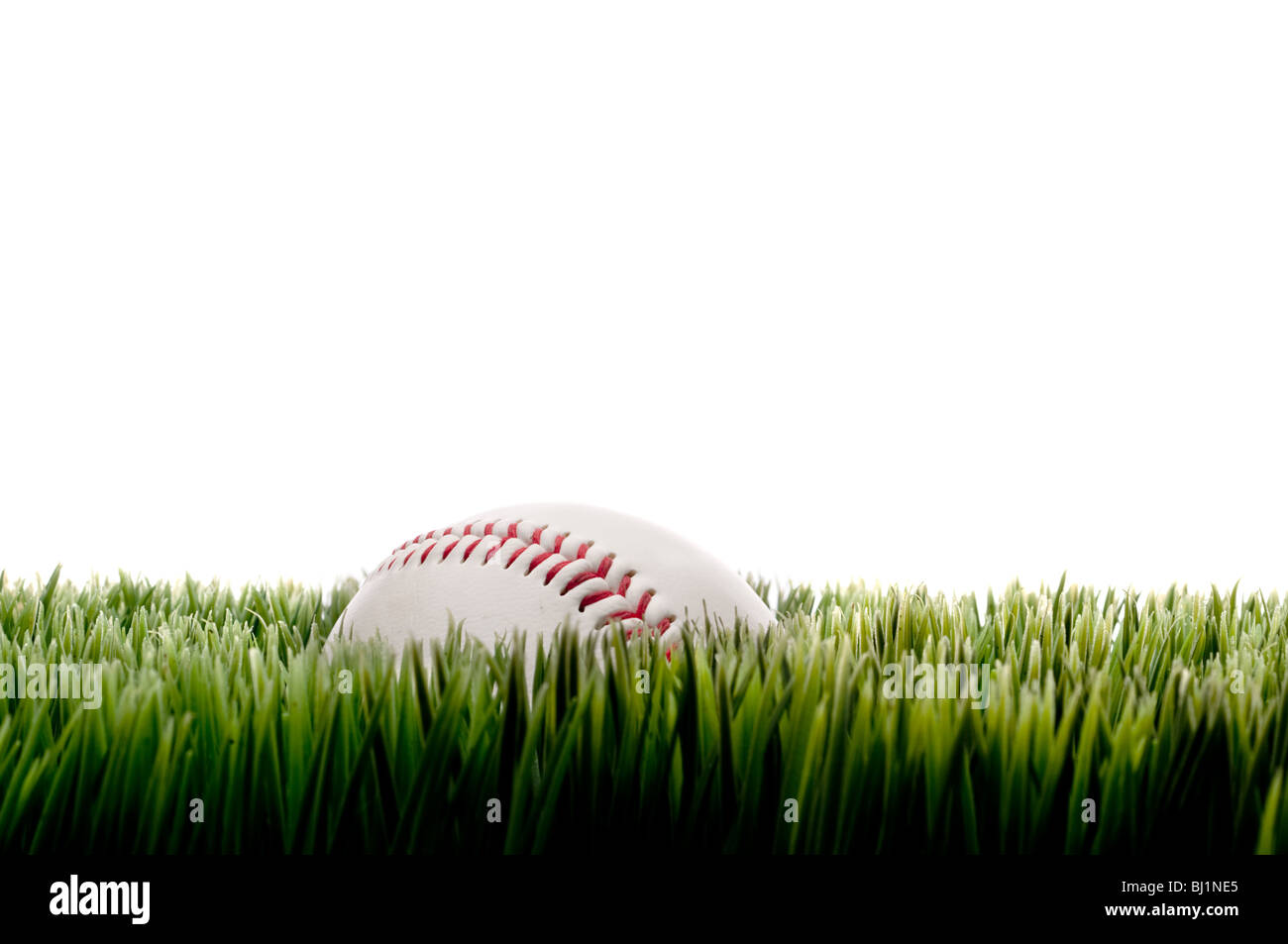 Horizontal image of a baseball on tall grass on white with copy space Stock Photo