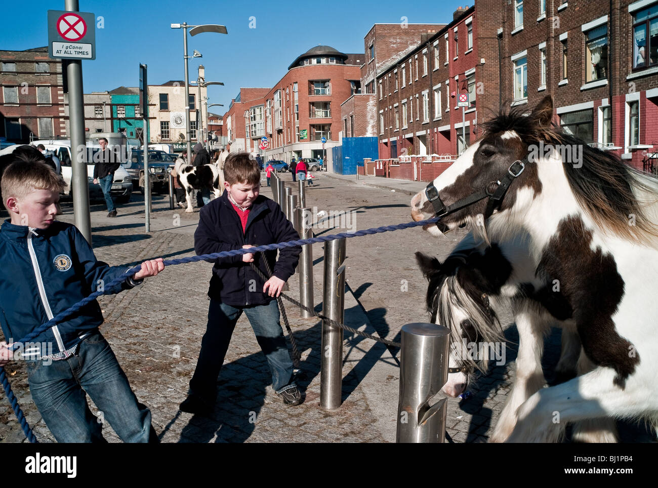The Horse Fair in Stoneybatter Dublin 7 Ireland Stock Photo