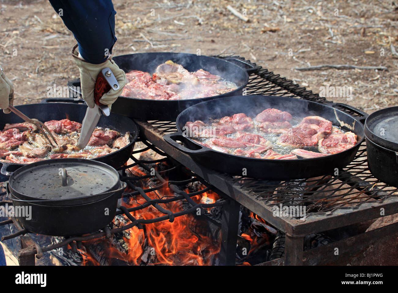 Mutton lamb steaks and chops cooking in cast iron pans over an open