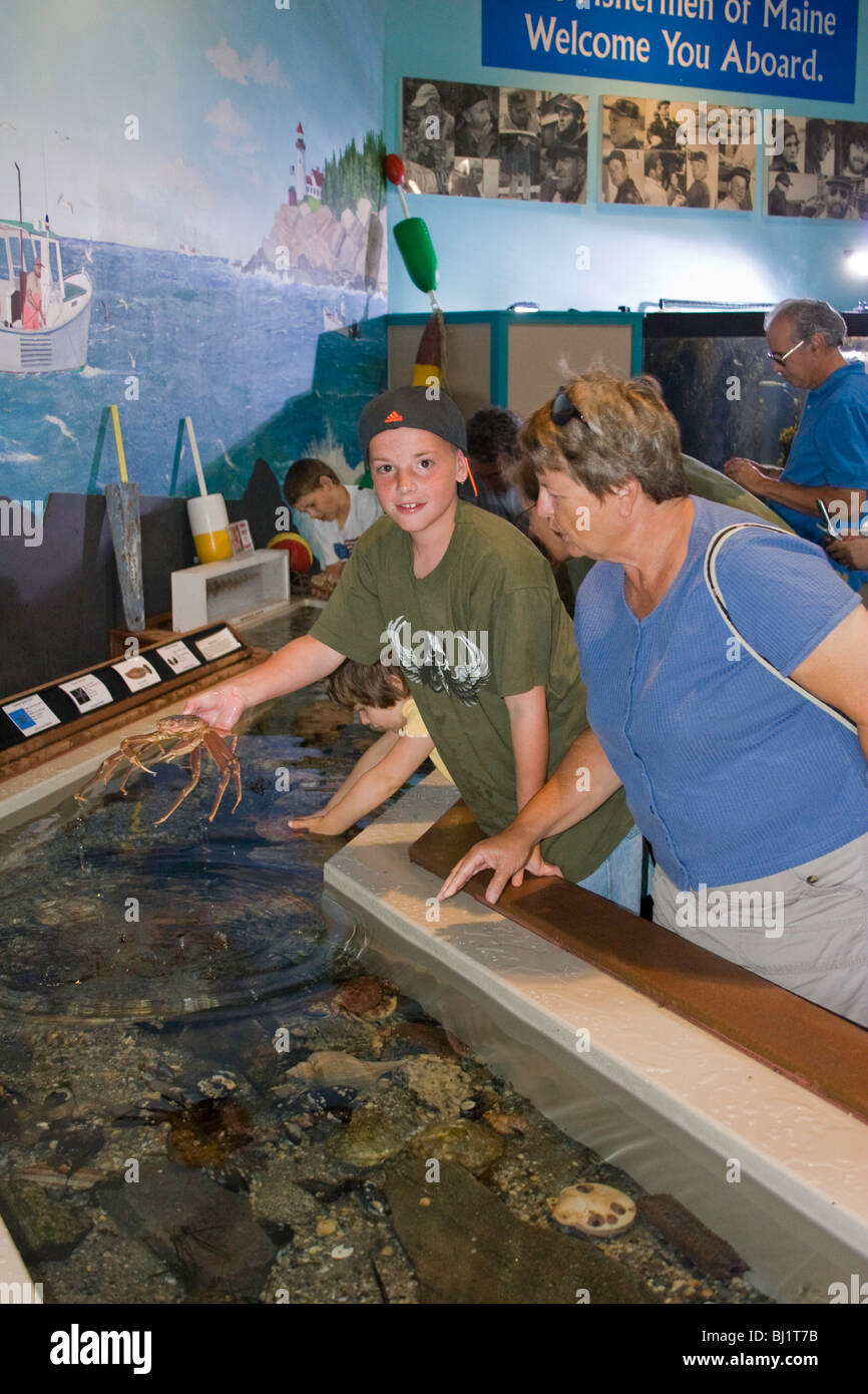 Visitors enjoy the Touchtank at the aquarium in Boothbay Harbor, Maine