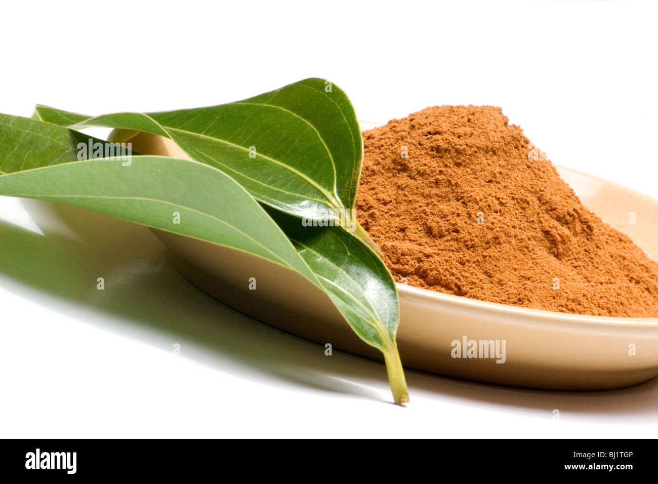 Closeup of grounded cinnamon and fresh green leaves Stock Photo Alamy