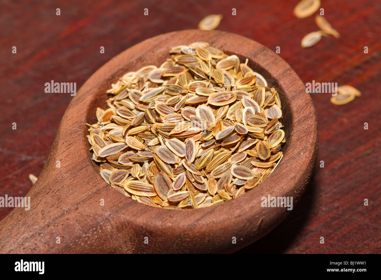 Dill seeds Stock Photo